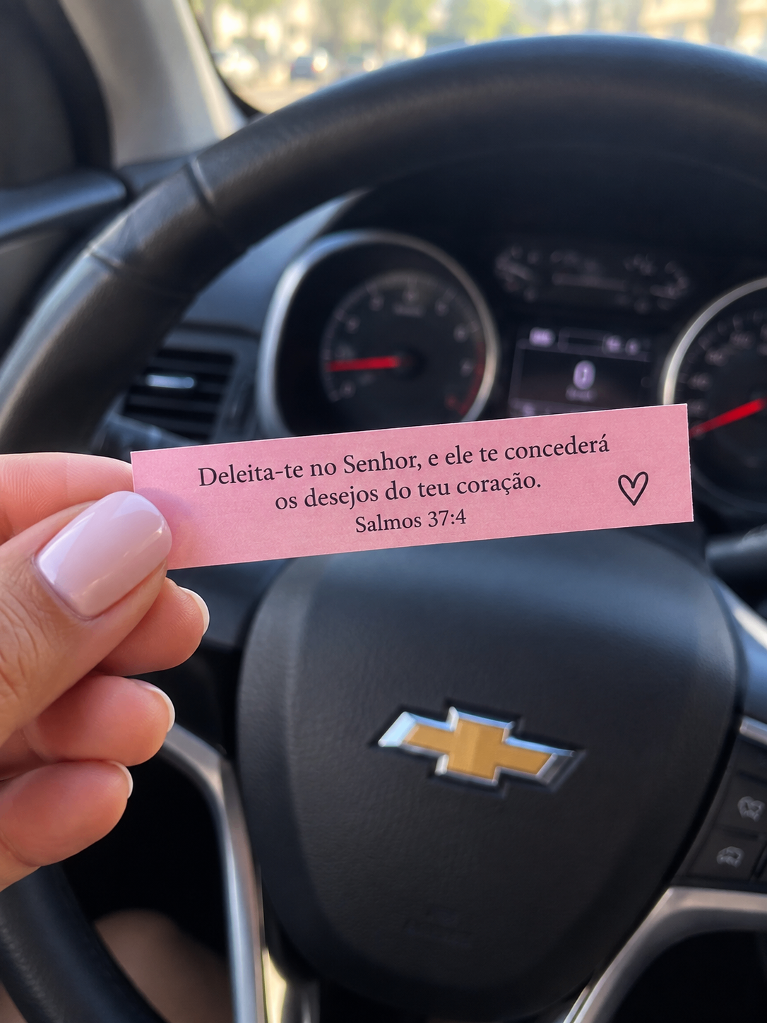 Imagem real 7 de cliente do Pote de Deus