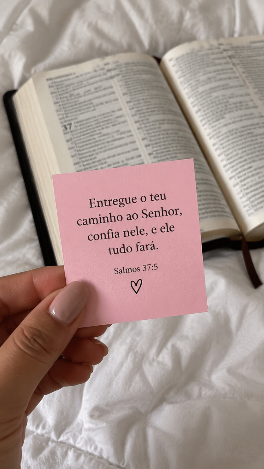 Imagem real 14 de cliente do Pote de Deus